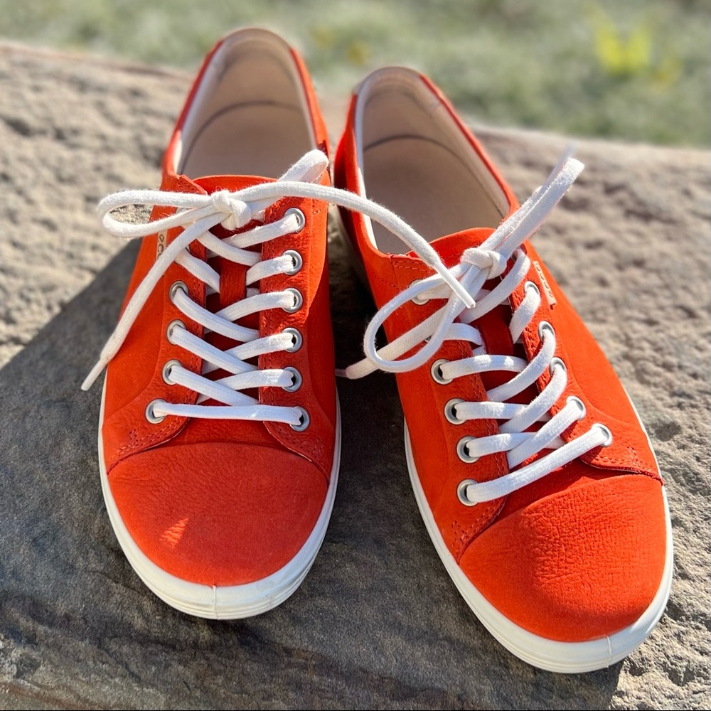 Ecco Soft 7